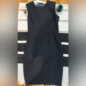 Ted Baker gorgeous sheath style little black dress.